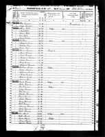 1850 Federal Census, Pennsylvania, Juniata County, Greenwood Township, Page 313B.