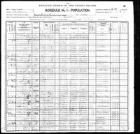 1900 Federal Census, New York, Chautauqua County, Jamestown City, Supervisor's District No. 16, Enumeration District No. 114, Sheet 7B.