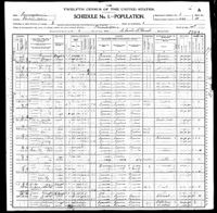 1900 Federal Census, Pennsylvania, Philadelphia County, City of Philadelphia, Supervisor's District No. 1, Enumeration District No. 1020, Sheet 10a.