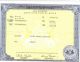 Birth Certificate of Helen Colflesh.